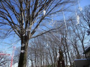 積雪の様子